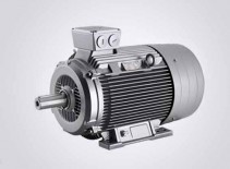 SIMOTICS GP 1LE0 低壓交流電動機(jī)